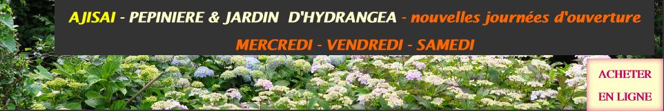 Hydrangeaborderkwekerijsterken